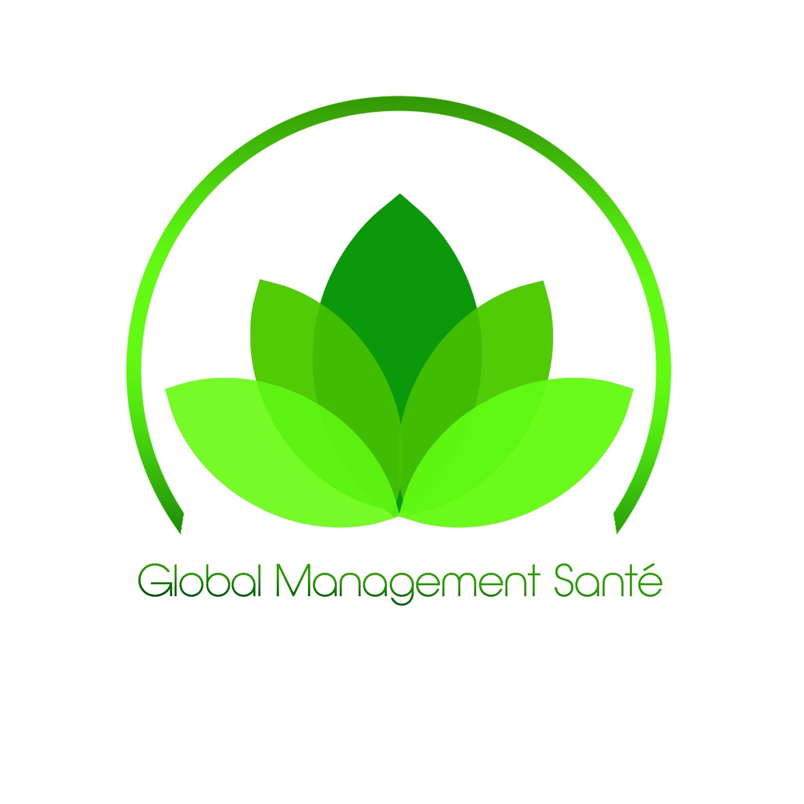 main.logo